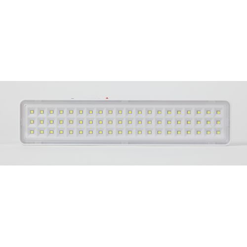 Светильник светодиодный DBA-103-0-20 60LED 5ч IP20 аварийный непостоянный Эра Б0044396